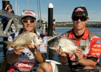 REPORT: Bream comps for newbies